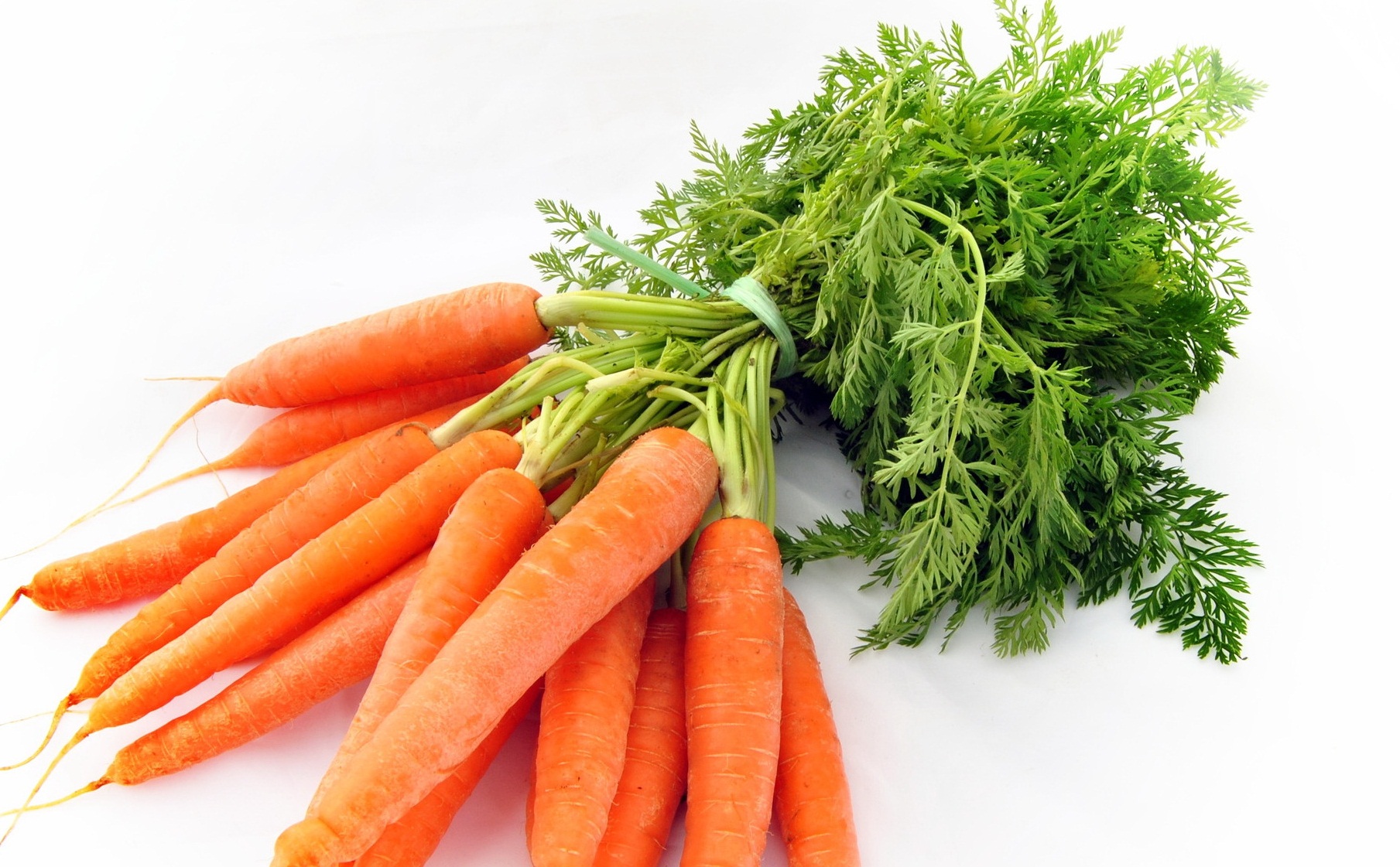 Морковь Правильное Питание
